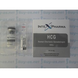 Intex HCG 5000 IU