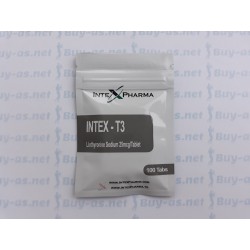 Intex T-3 100 tablets