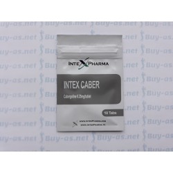Intex Caber 10 tablets