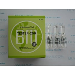 BM Testen-250 10 ml